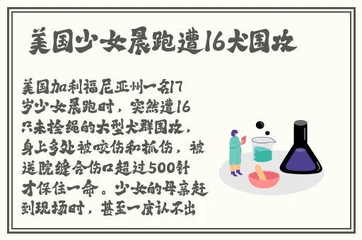 金黑料社团