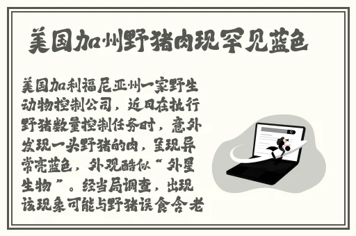 全色av网